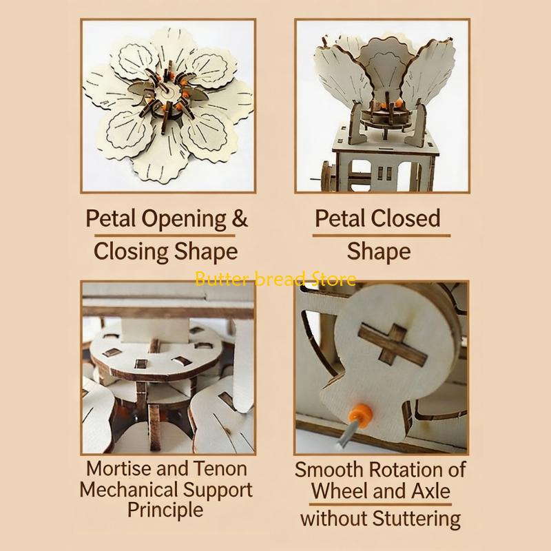 W89C Wiederverwendung Holz Wis – Science Hobbyist Bewertung und Preis